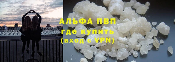 бошки Ладушкин
