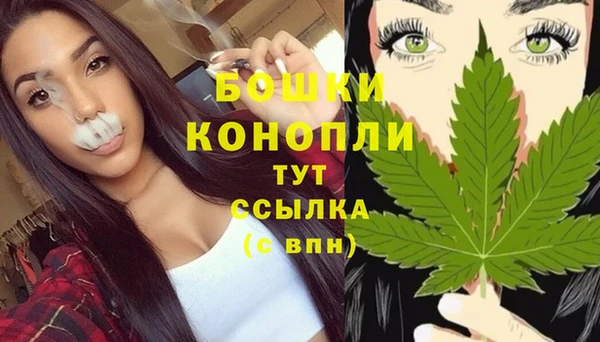 бошки Ладушкин